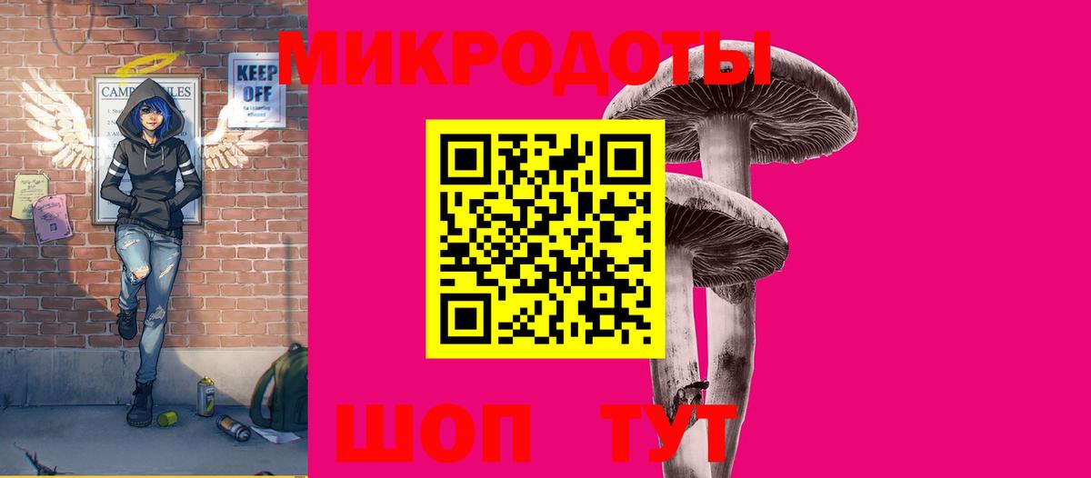 Псилоцибиновые грибы Psilocybe Грозный