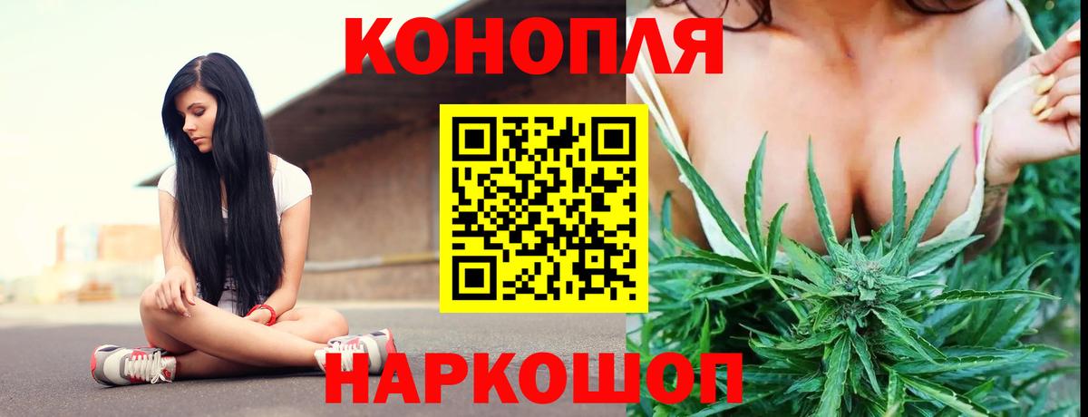 Шишки марихуана Amnesia  МАРИХУАНА план  Конопля Bruce Banner  Конопля VHQ  Вход с VPN  Грозный 